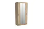 Šatní skříň Nico II Barva korpusu: Dub - sonoma, Rozměry: 110 cm