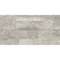 Dlažba Ardesia Silver 31/62