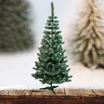 Stromek borovice bílé koncovky.220 cm.