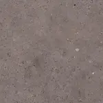 Dlažba Pastorelli Biophilic dark grey 60x60 cm mat P009497