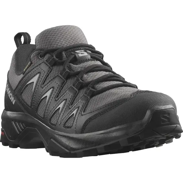 Salomon X Braze GTX EU 40, Magnet/Black/Black Dámské boty