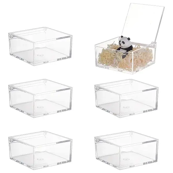 Transparent Acrylic Packaging Boxes with Flip Lid