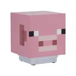 Minecraft svetlo prasiatko