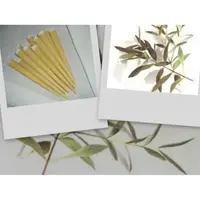 Telové sviečky eukalyptové 10ks