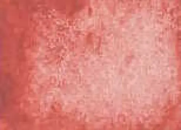 Akvarelová barva DS 15ml – 122 Italian Venetian Red