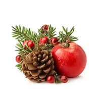 Vůně do svíček 10ml – 20 Vůně vánoc