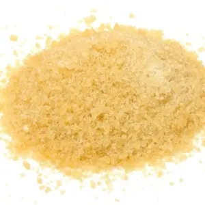 Rybí klih v prášku 100g