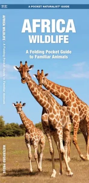 African Wildlife - Waterford Press, James Kavanagh