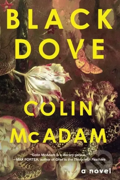 Black Dove - Colin McAdam - kniha z kategorie Společenská beletrie