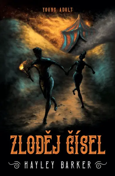 Zloděj čísel - Hayley Barker