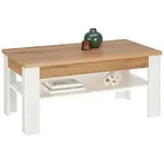 Landscape KONFERENČNÍ STOLEK, bílá, barvy modřínu, kompozitní dřevo, 110/60/50 cm