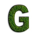 StyleGREEN MECHOVÝ OBRAZ