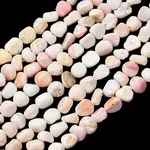 Natural Shell Beads Strands