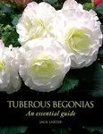 Tuberous Begonias - Jack Larter