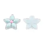 Transparent Resin Enamel Cabochons
