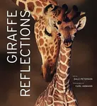 Giraffe Reflections - Dale Peterson