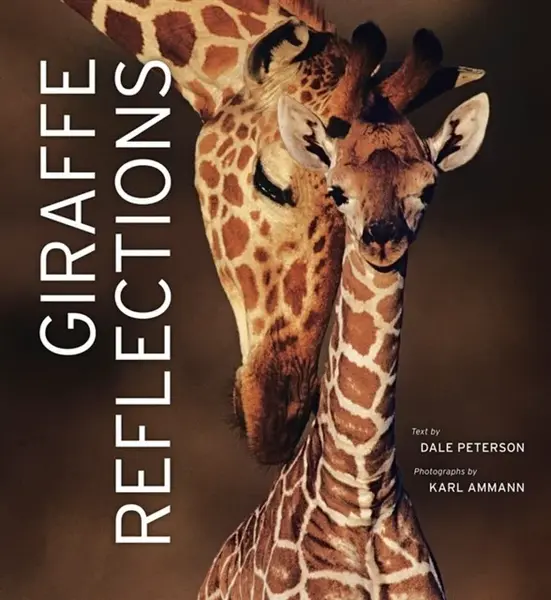 Giraffe Reflections - Dale Peterson