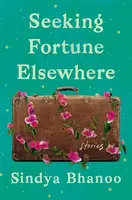 Seeking Fortune Elsewhere - Sindya Bhanoo