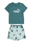 PUMA Set  mätová / jedľová
