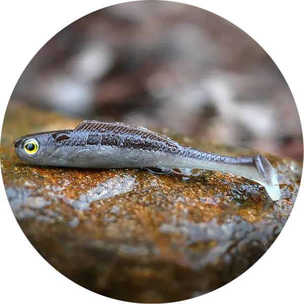 Redbass gumová nástraha ripper kicker brown/silver - l 100 mm