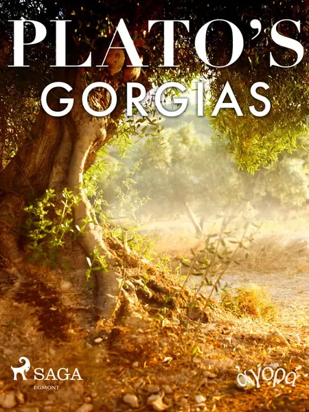Plato’s Gorgias - Plato