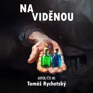 Na viděnou - Tomáš Rychetský - audiokniha