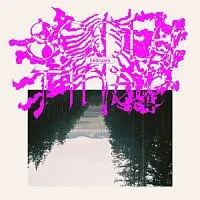 February – Scolytinae