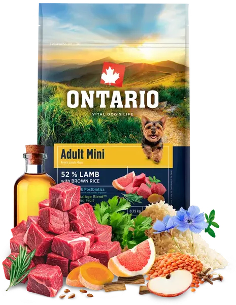 Ontario Adult Mini Lamb & Brown Rice 0,75kg