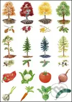 Vystřihovací příloha k učebnici prvouky 1 - Petra Adámková - kniha z kategorie 1. stupeň