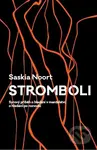 Stromboli (Syrový příběh o hledání v manželství, o hledání po rozvodu) - kniha z kategorie Společenská beletrie