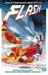 Flash 3: Ranaři vracejí úder (Znovuzrození hrdinů DC)