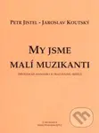 My jsme malí muzikanti (Metodické poznámky k pracovnímu sešitu) - kniha z kategorie Hudba