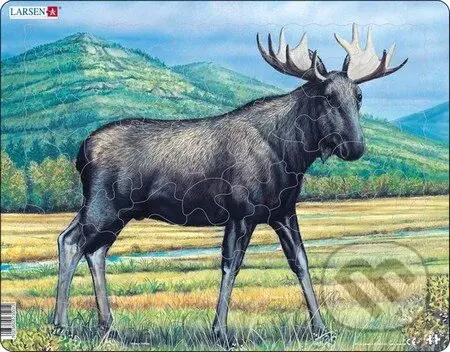 Los DT1 - puzzle z kategorie Naučné puzzle