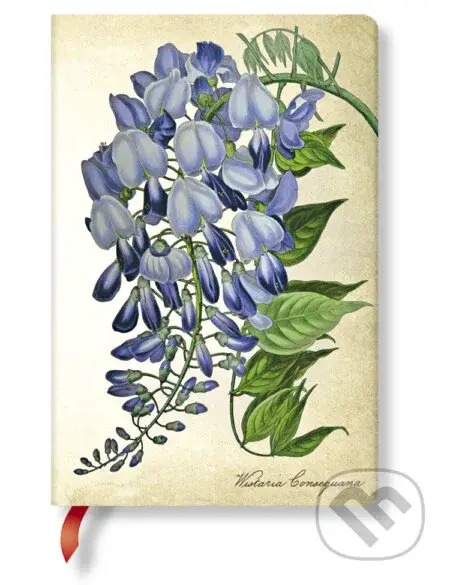 Paperblanks - zápisník Blooming Wisteria (mini, čistý)