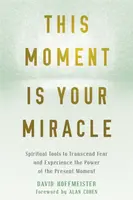 This Moment Is Your Miracle - David Hoffmeister