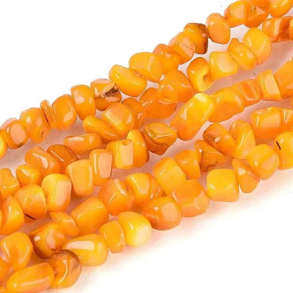 Natural Freshwater Shell Beads Strands