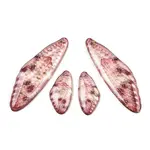 Transparent Resin Wing Earrings Pendants