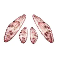 Transparent Resin Wing Earrings Pendants