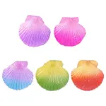 5Pcs Spray Painted Natural Scallop Shell Big Pendants