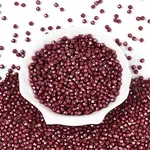 Baking Paint Pearlized Glass Seed Beads