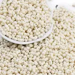 Baking Paint Glass Seed Beads