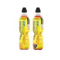 ERIC FAVRE TESTORINE Pomeranč 500 ml