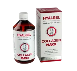 SILVITA Hyalgel Collagen MAXX 500 ml