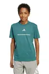 Dětské bavlněné tričko adidas zelená barva, KC5383