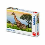 Puzzle Žirafí Rodina 1000 dílků