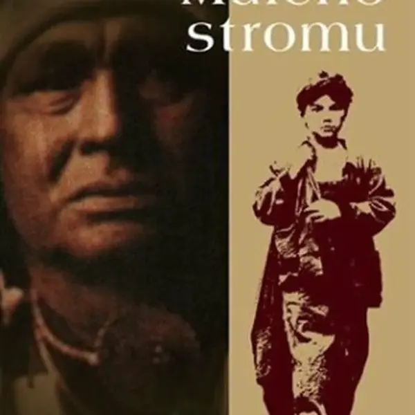 Škola Malého stromu - Forrest Carter
