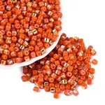 FGB Opaque Colours Glass Seed Beads