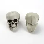Plastic Display Decorations