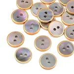 Golden Edge Naturl Black Lip Shell Button