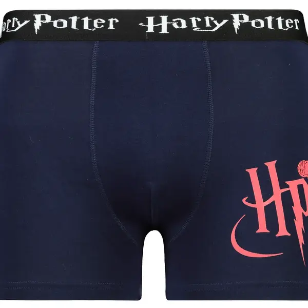 Pánské boxerky Harry Potter - Frogies